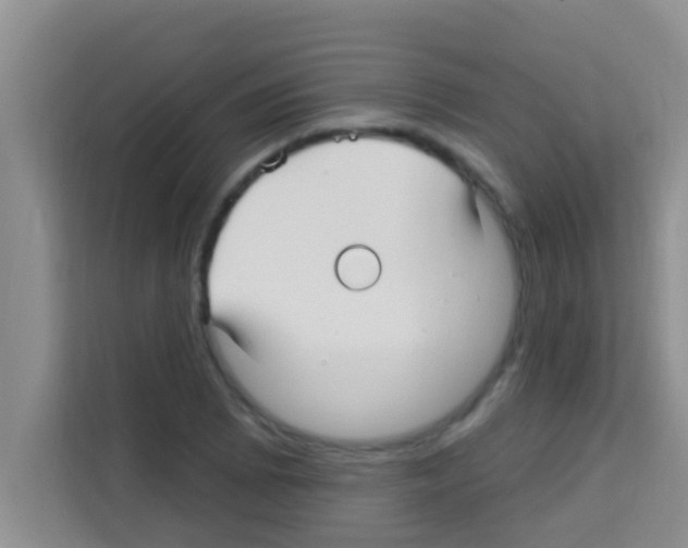 X0000113121073200910091132