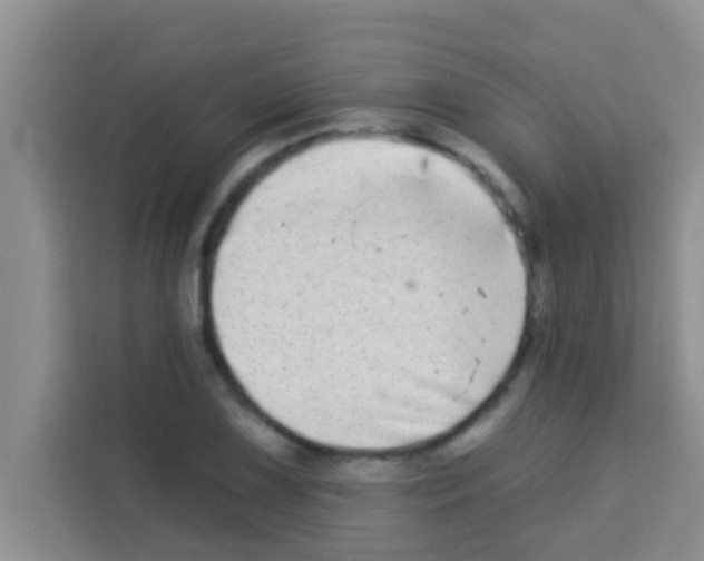 X0000113121075200910091132