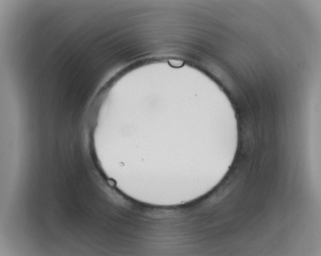 X0000113121076200910091132