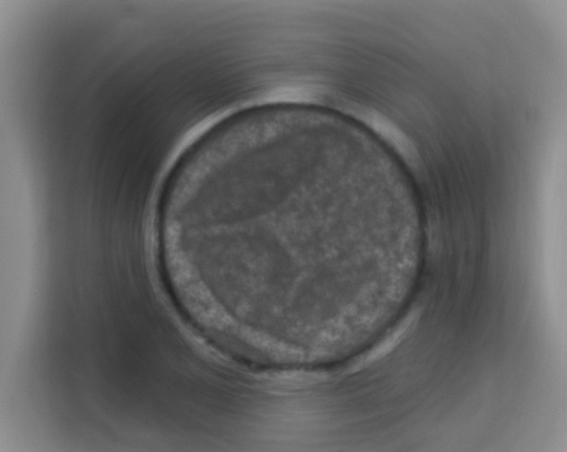 X0000113121077200910091132