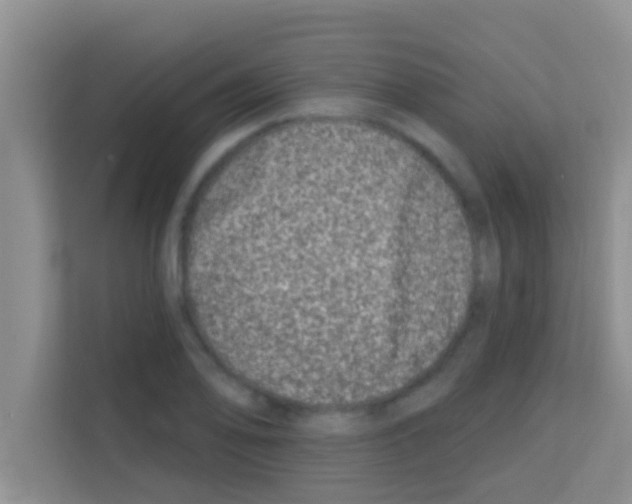 X0000113121078200910091132