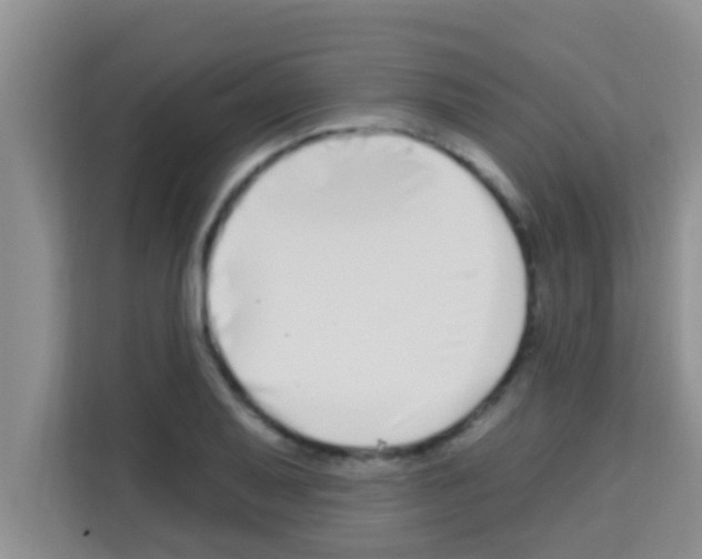 X0000113121079200910091132