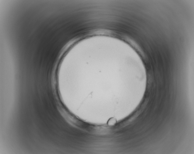 X0000113121082200910091132