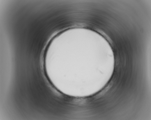 X0000113121083200910091132