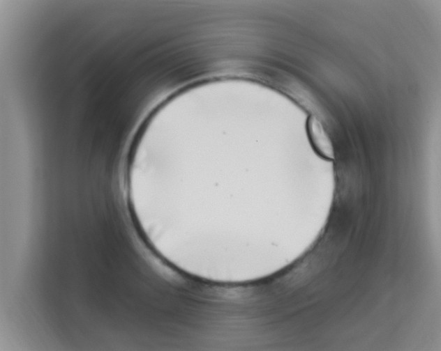 X0000113121084200910091132