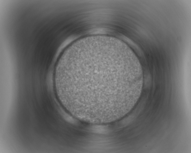 X0000113121086200910091132