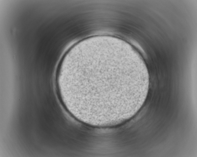X0000113121087200910091132