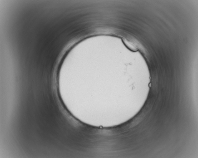 X0000113121088200910091132