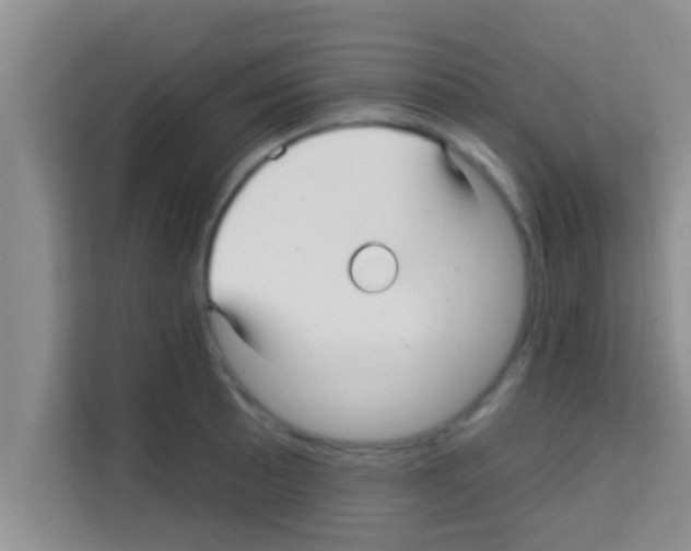 X0000113121089200910091132