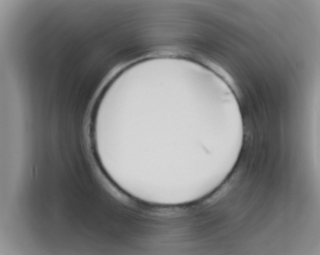 X0000113121091200910091132