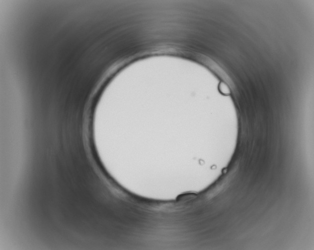 X0000113121093200910091132