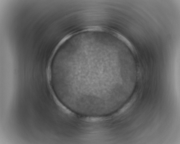 X0000113121095200910091132