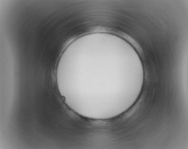 X0000113121097200910091132