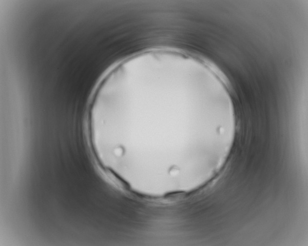 X0000113121100200910091132