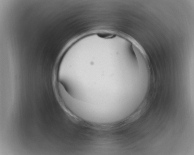 X0000113121101200910091132