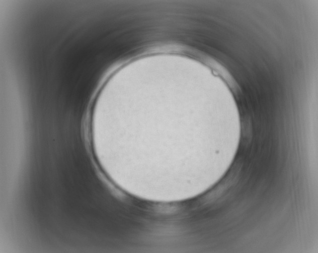 X0000113121103200910091132