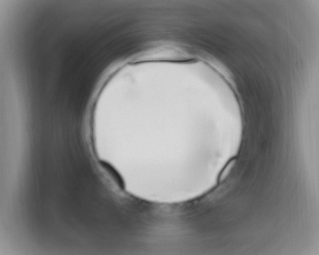 X0000113121104200910091132