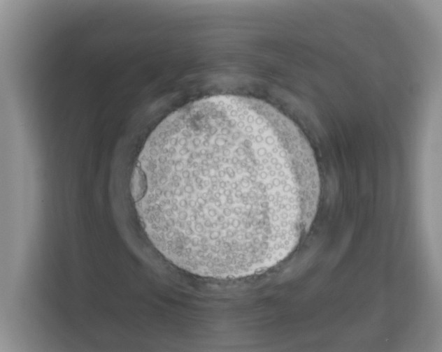 X0000113121105200910091131