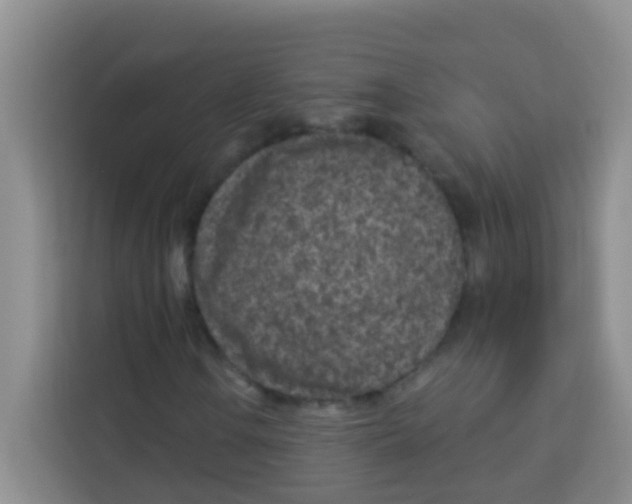 X0000113121106200910091131