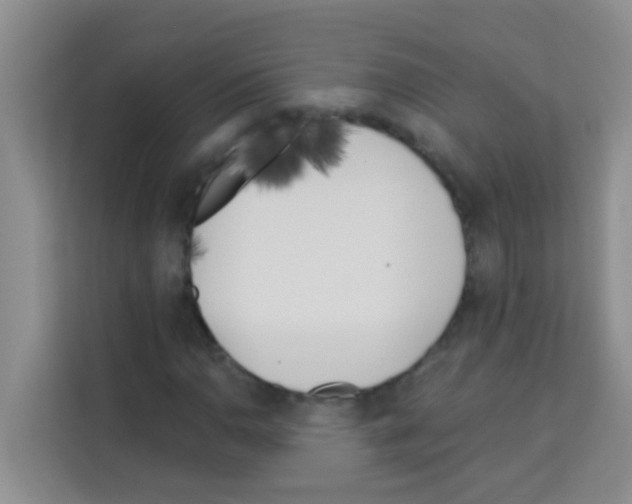 X0000113121110200910091131