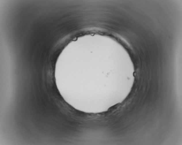 X0000113121111200910091131