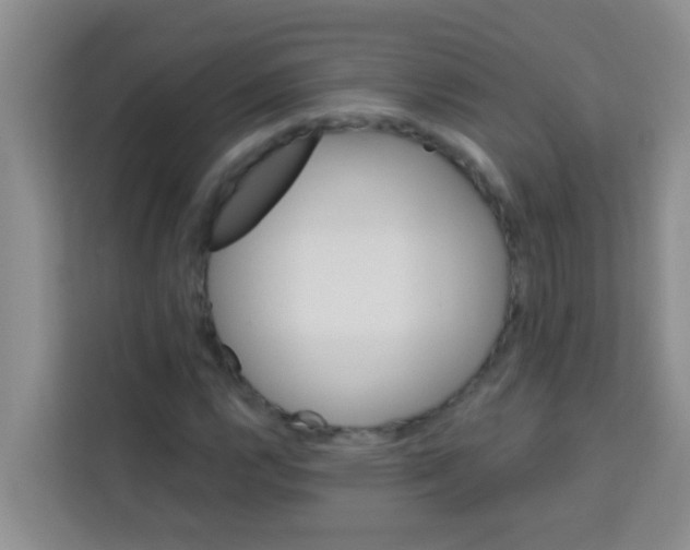 X0000113121112200910091131