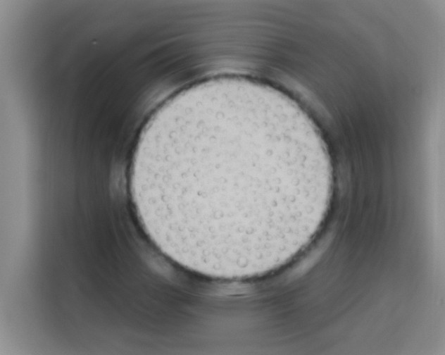 X0000113121113200910091131