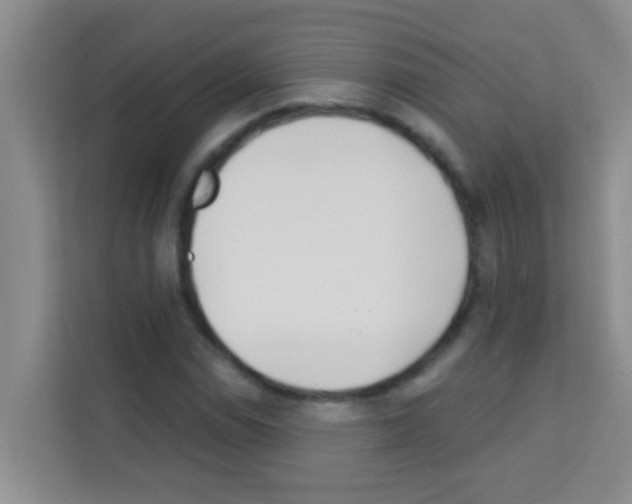 X0000113121114200910091131