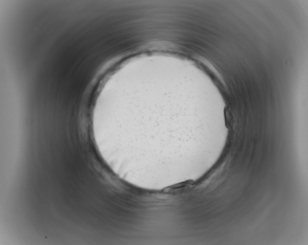 X0000113121115200910091131