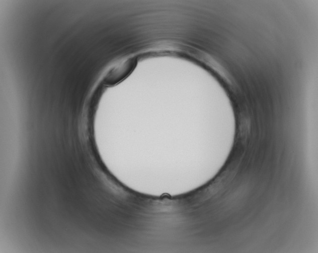 X0000113121116200910091131