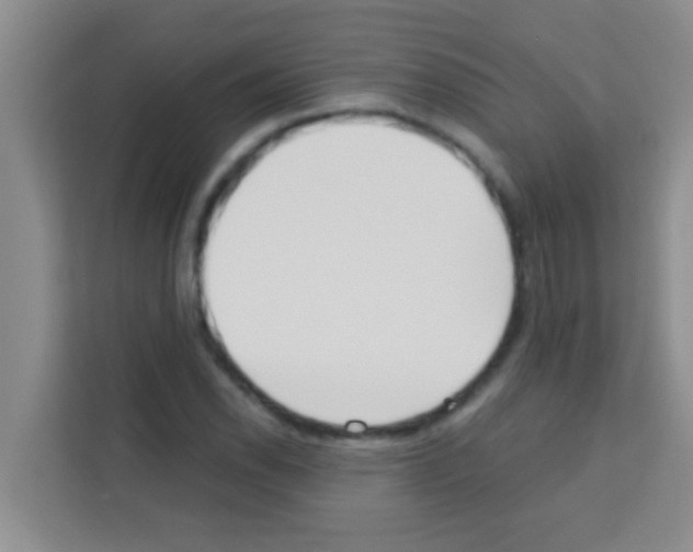 X0000113121118200910091131