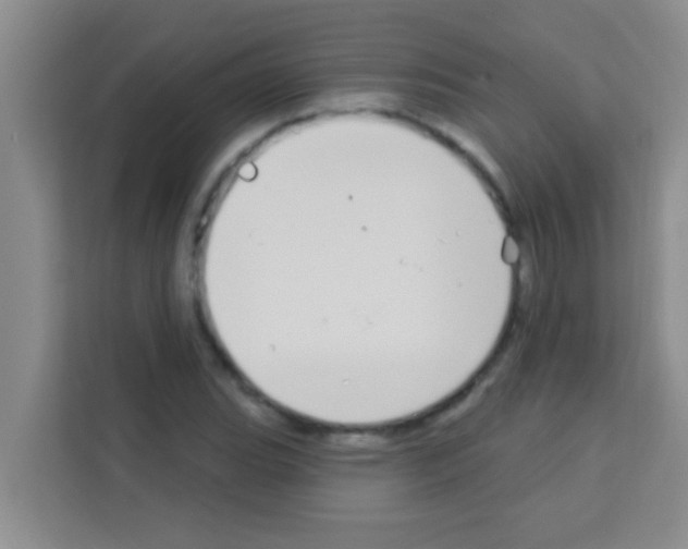 X0000113121119200910091131