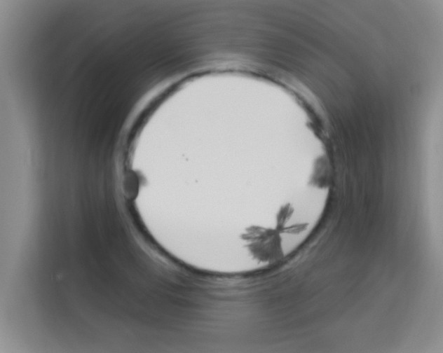 X0000113121120200910091131