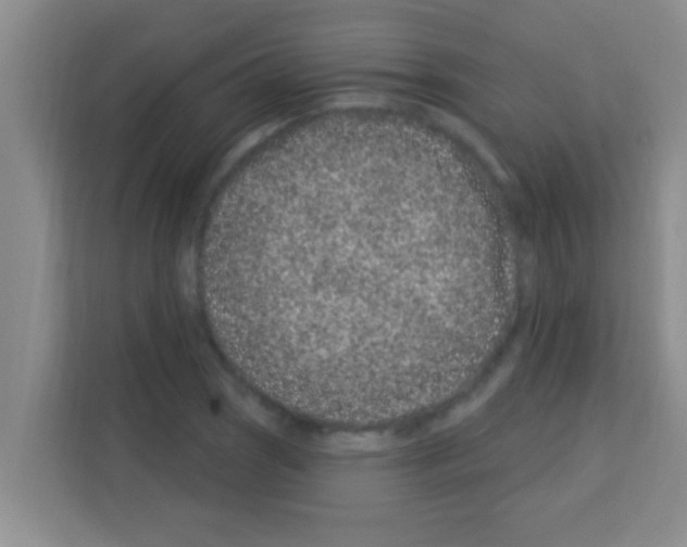 X0000113121121200910091131