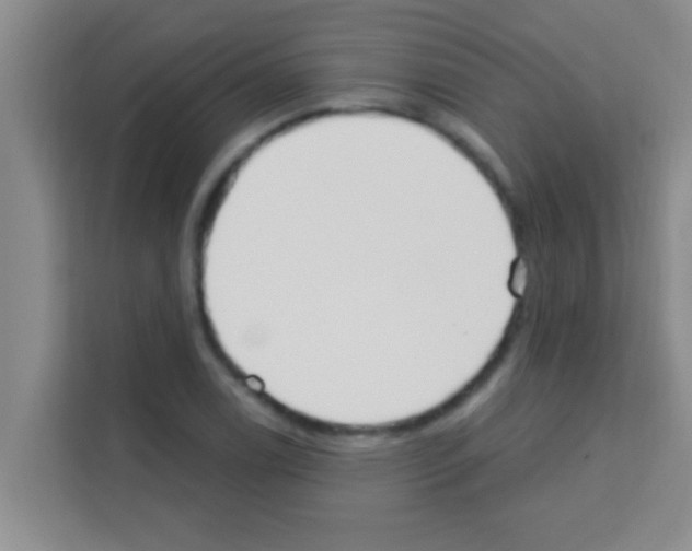 X0000113121122200910091131