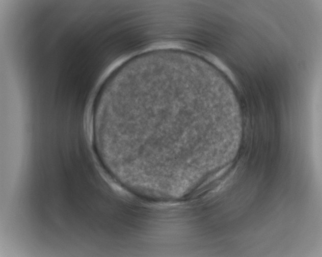 X0000113121127200910091131