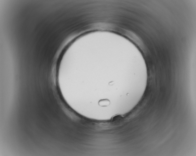 X0000113121128200910091131