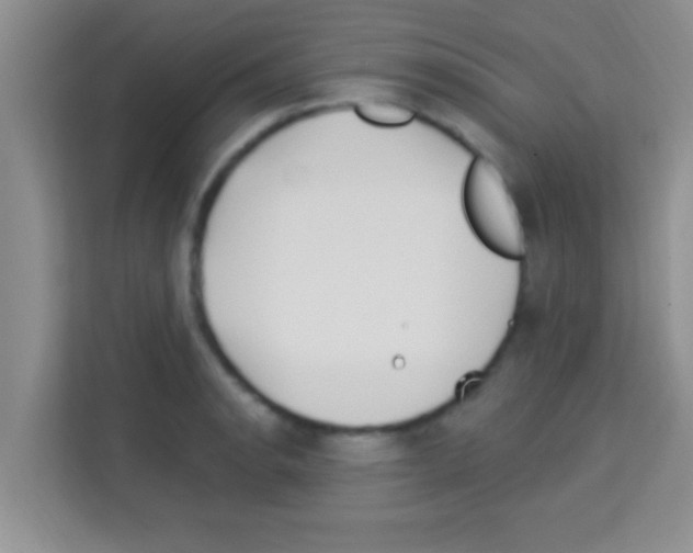 X0000113121134200910091132