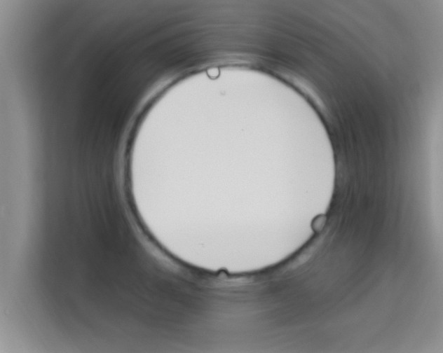 X0000113121135200910091132