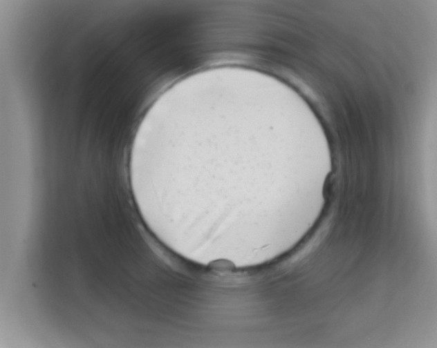 X0000113121137200910091132