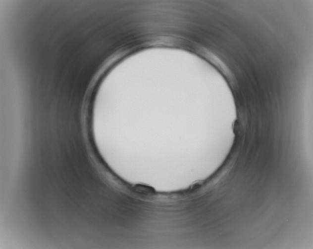 X0000113121138200910091132