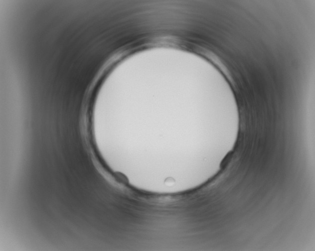 X0000113121139200910091132
