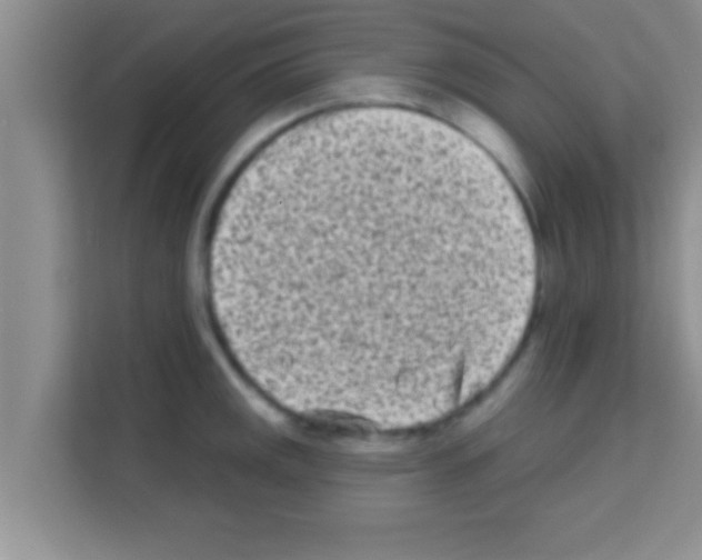 X0000113121141200910091132