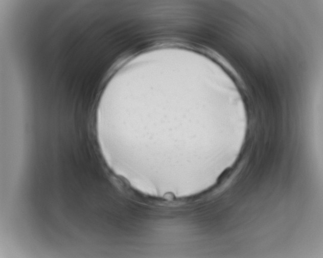 X0000113121145200910091132