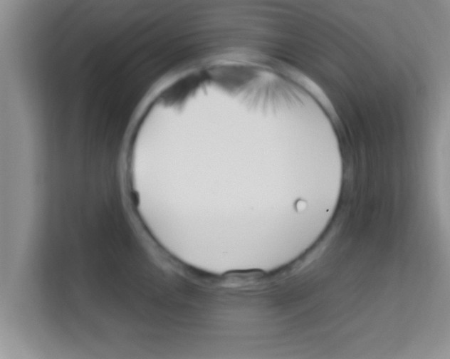 X0000113121146200910091132