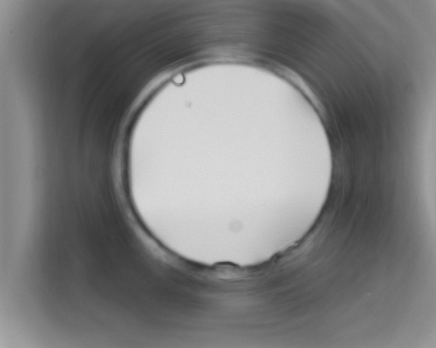 X0000113121147200910091132