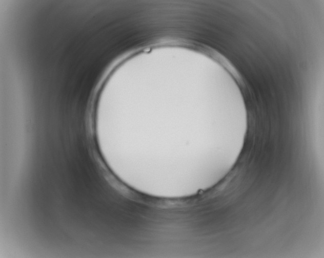 X0000113121148200910091132
