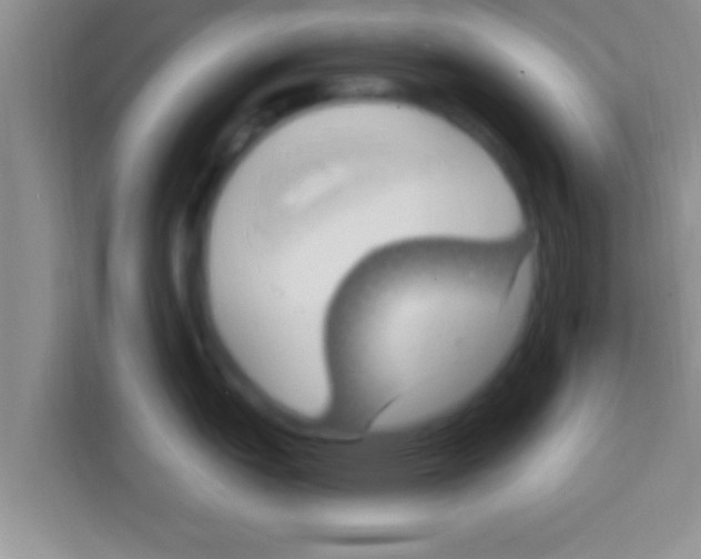 X0000113121151200910091132