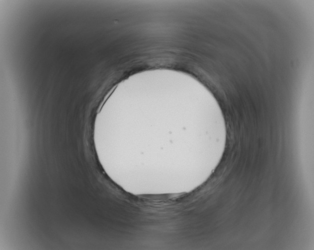 X0000113121153200910091131