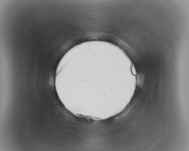 X0000113121155200910091131